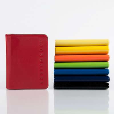 Promotional Gifts Credit Visa Card Holder Wallet, PVC Colorful Card Holder